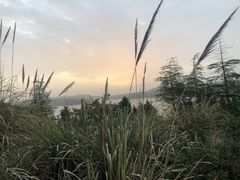 -仙海旅游度假区