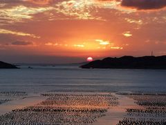-枸杞岛