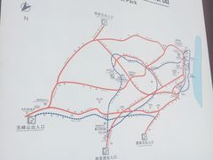 -铁山坪森林公园