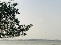 -宝安西湾红树林湿地公园