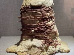 -巴音郭楞蒙古自治州博物馆