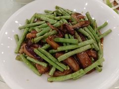 -姚林轩