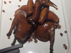 -院8里·小聚园老川菜(九眼桥店)