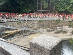 -将军关探险漂流