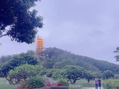 -红花山公园