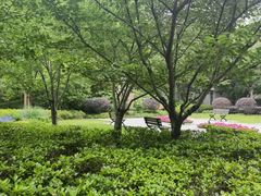 -徐家汇源景区-衡山公园