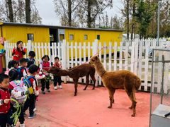 -前小桔亲子创意农场·草莓采摘·露营烧烤