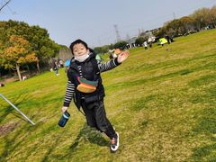 -昆山城市生态森林公园