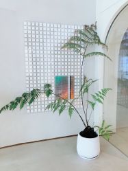 -时光海科学美肤中心
