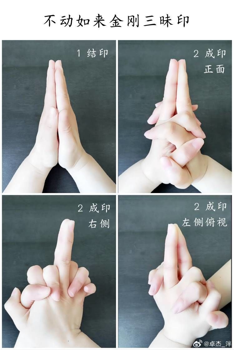 8,不动如来金刚三昧印

身边出