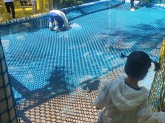 -西部长青自然儿童乐园