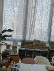 -LUNA皮相美·骨相美高级美感