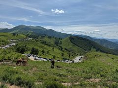 -灵山