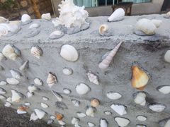 -那琴半岛地质海洋公园