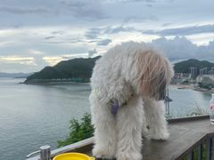 -Brew Farm·精酿农场海滨悬崖餐厅