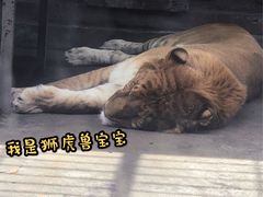-宁波野生动物园