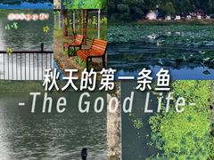 -丁香湖公园
