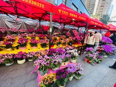 -越秀西湖花市(广州城市广场花卉店)