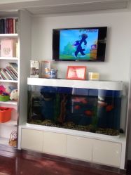 -圣瑞医疗上海圣恩儿科门诊部