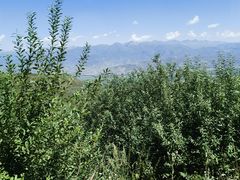 -新疆那拉提国家旅游度假区