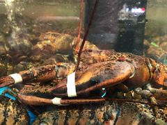 -盒马鲜生(曜一城店)