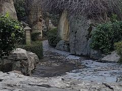 -金孔雀温泉旅游度假村