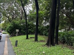 -福田体育公园游泳馆