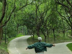 -燕晗山郊野公园