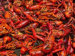 -新发展亚太JW万豪酒店·福苑咖啡厅