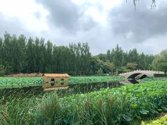 -白洋淀景区