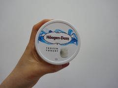 酸奶冰淇淋-哈根达斯(烟台振华店)