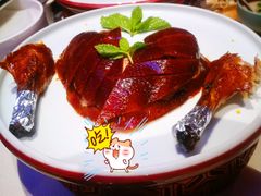 精品烤鸭-悦江(梅奔中心店)