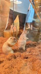 -Zoolung Zoolung动物主题公园(海信广场店)