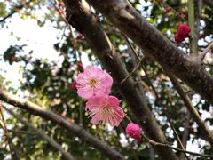 -南京市江宁方山