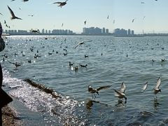 -海埂大坝