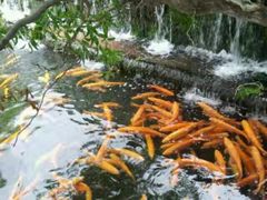 -丽江玉水寨