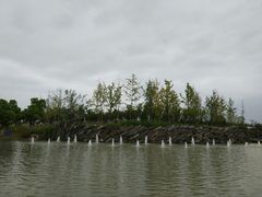 -滆湖低碳生态公园