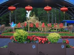 -东平国家森林公园