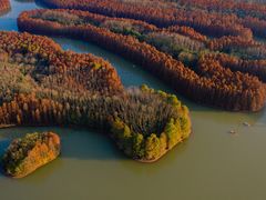 -上海海湾国家森林公园