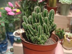 -桂湘缘卤味螺蛳粉