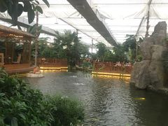 -汤山翠谷生态餐厅