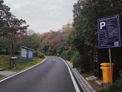 -宝界山林公园