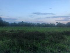 -瑞穗牧场花莲门市
