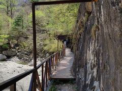 -青峰峡国家森林公园