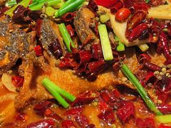 -老板恋上鱼(高新万达店)