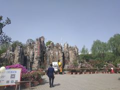 -秀丽东方