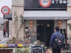 门面-吉丁鸟咖·异宠·寄养