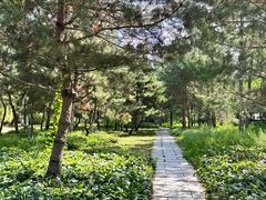 -长春公园(普阳街道)