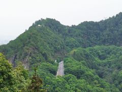 -南山植物园