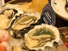 -斯普汇生蚝牛排馆(中骏世界城店)